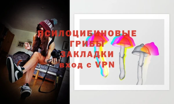 МДМА Лагань