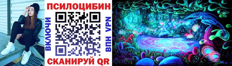 как найти наркотики  Майский  OMG зеркало  Псилоцибиновые грибы Psilocybine cubensis 